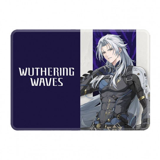 Обложка для паспорта Wuthering Waves