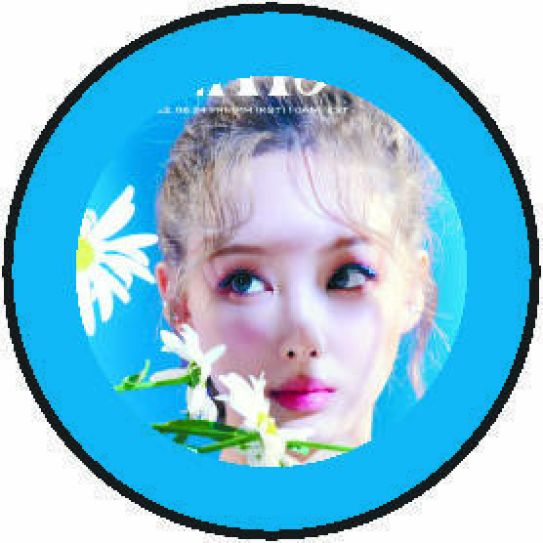 Значки круглые 25 мм. 0355