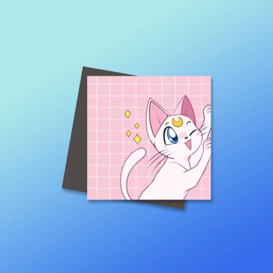 Магниты №1 0046