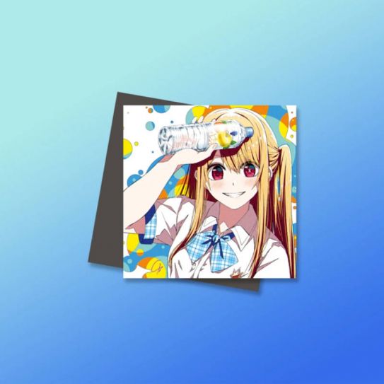 Магниты №4 0034