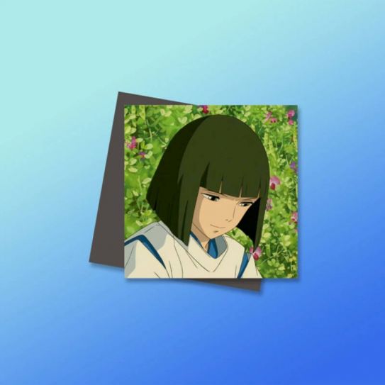 Магниты №5 0027