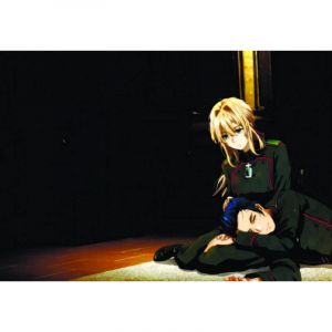 Обложки на паспорт ЭКОНОМ №0254