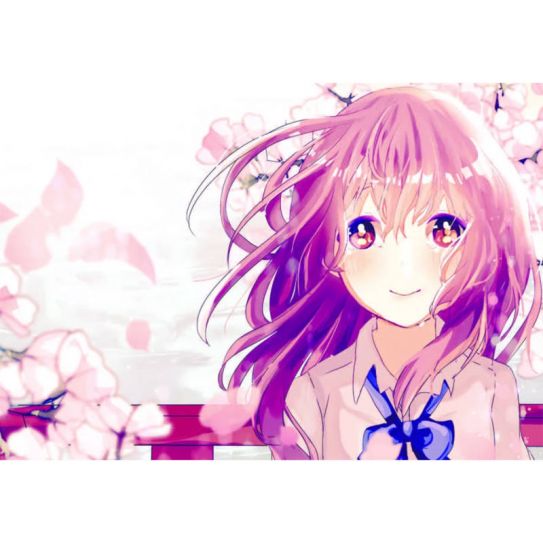 Обложки на паспорт ЭКОНОМ №0257