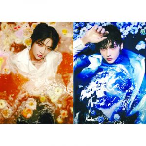 Обложки на паспорт ЭКОНОМ №0292