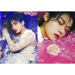 Обложки на паспорт ЭКОНОМ №0293