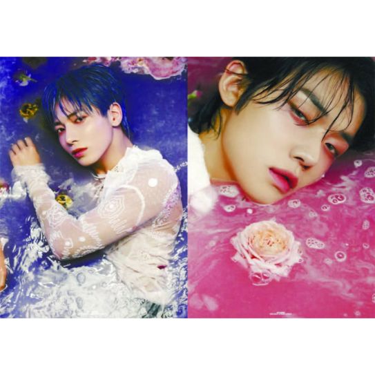 Обложки на паспорт ЭКОНОМ №0293