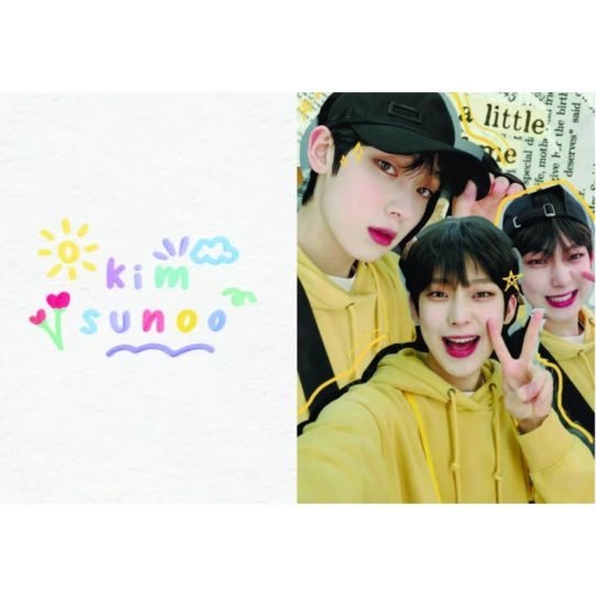 Обложки на паспорт ЭКОНОМ №0296