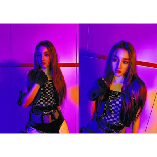 Обложки на паспорт ЭКОНОМ №0303