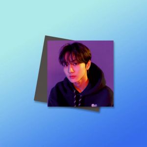 Магниты №2 0042