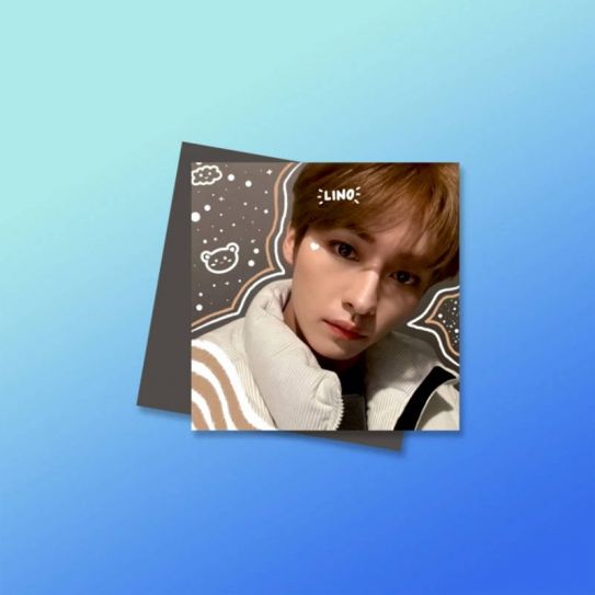 Магниты №4 0050