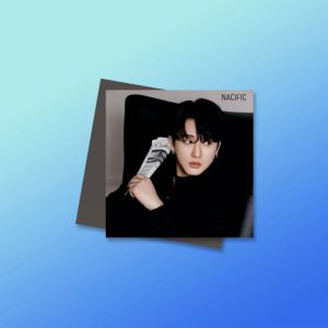 Магниты №4 0055