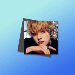 Магниты №4 0064