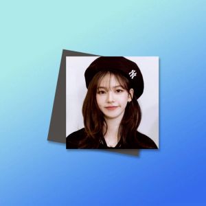 Магниты №4 0066