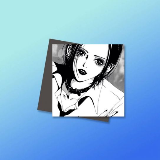 Магниты №5 0043