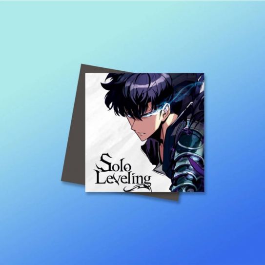 Магниты №5 0088