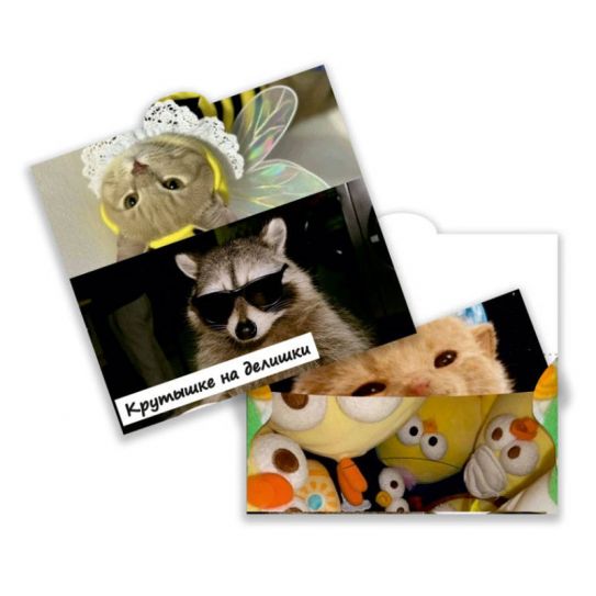 Конверт для денег №042 Енот и котик