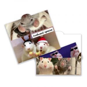 Конверт для денег №044 Крыски