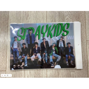 Папка виниловая а4 stray kids