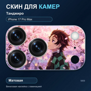 Виниловая наклейка матовая на блок камер Танджиро — iPhone 17 Pro Max (М09 / 17PM)