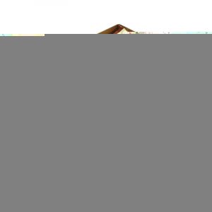 Печенье XIALMEI вкус ШОКОЛАДНЫЙ С НАЧИНКОЙ 45гр/20шт/12Бл (цена за штуку)