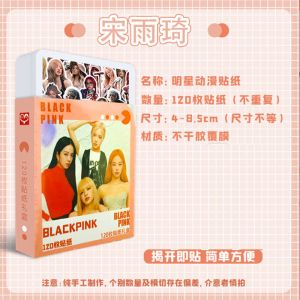 Стикеры 120 шт. в пластиковом боксе "BLACKPINK" 7